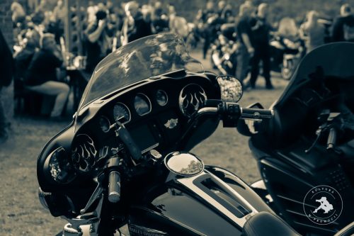 469864753 430235963486780 612698446538181789 n