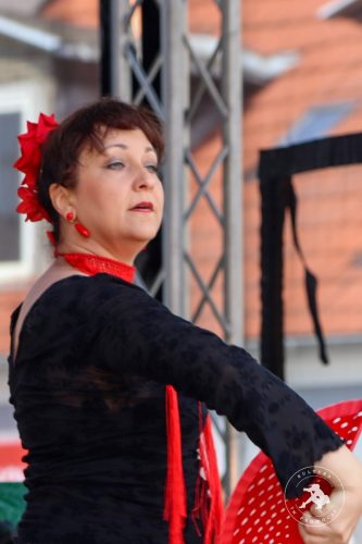 Szamotulanie-dla-Szamotulan-Grupa-Flamenco-3